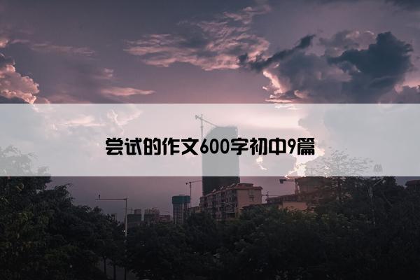 尝试的作文600字初中9篇