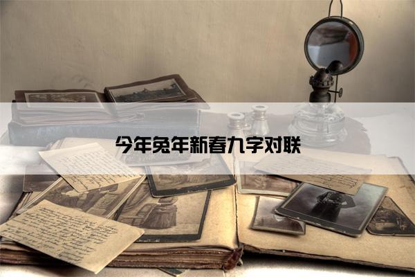 今年兔年新春九字对联