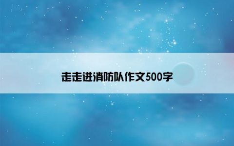 走走进消防队作文500字
