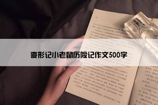 变形记小老鼠历险记作文500字