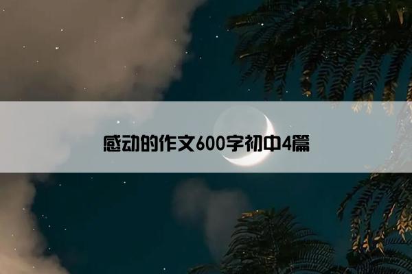 感动的作文600字初中4篇