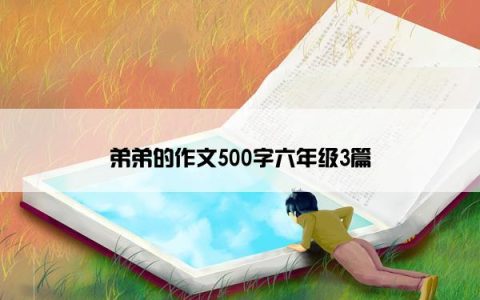 弟弟的作文500字六年级3篇