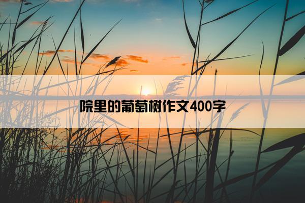 院里的葡萄树作文400字