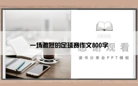 一场激烈的足球赛作文800字