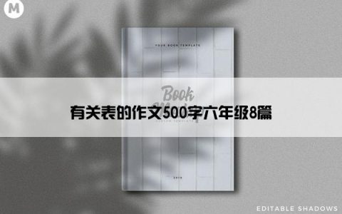 有关表的作文500字六年级8篇