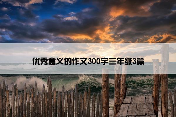 优秀意义的作文300字三年级3篇