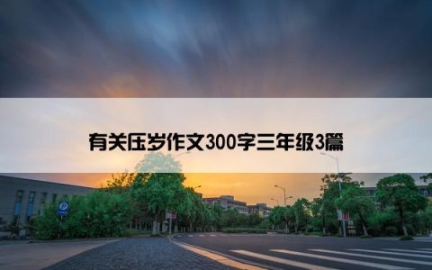 有关压岁作文300字三年级3篇