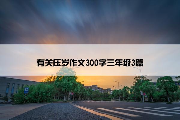 有关压岁作文300字三年级3篇