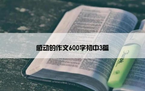 感动的作文600字初中3篇