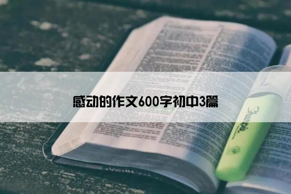 感动的作文600字初中3篇