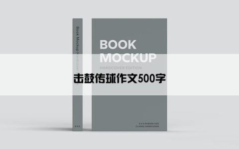 击鼓传球作文500字