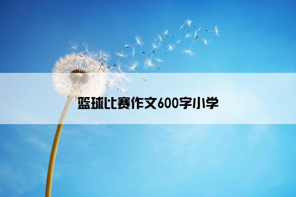 篮球比赛作文600字小学