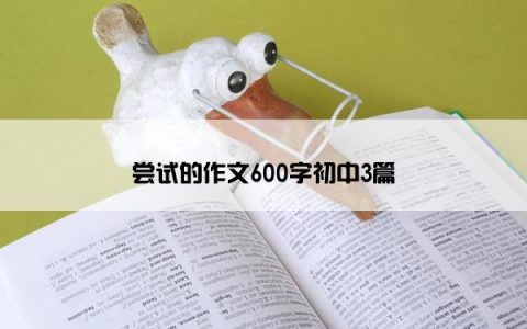 尝试的作文600字初中3篇