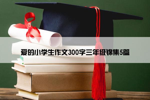 爱的小学生作文300字三年级锦集5篇