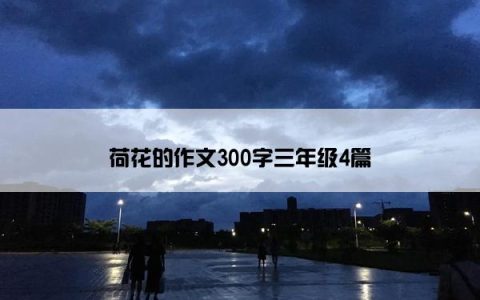 荷花的作文300字三年级4篇