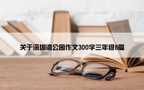 关于深圳湾公园作文300字三年级8篇