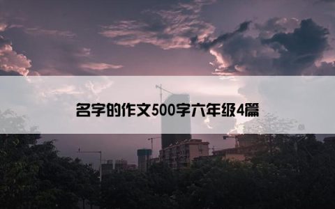 名字的作文500字六年级4篇