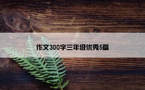 作文300字三年级优秀5篇