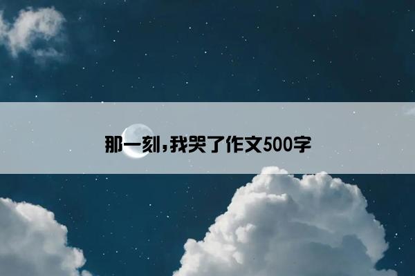 那一刻,我哭了作文500字