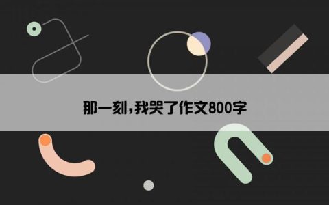 那一刻,我哭了作文800字