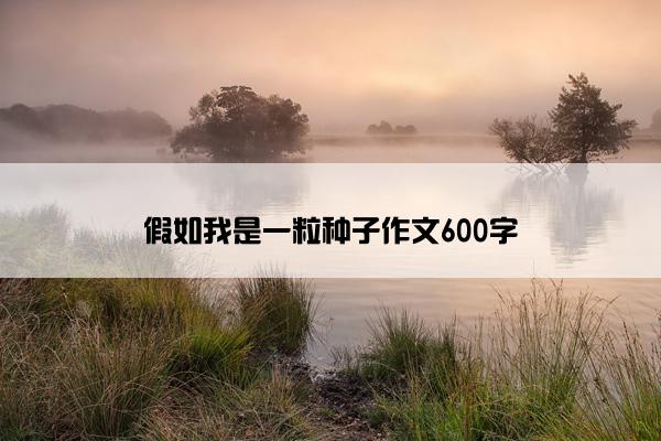 假如我是一粒种子作文600字