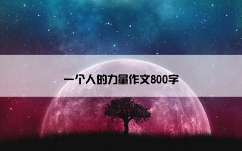 一个人的力量作文800字