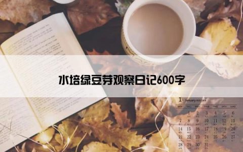 水培绿豆芽观察日记600字