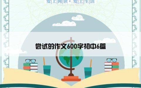 尝试的作文600字初中6篇