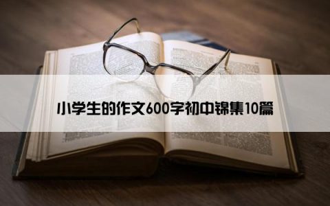 小学生的作文600字初中锦集10篇