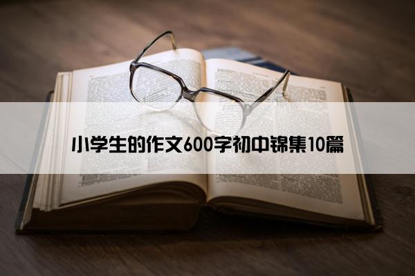 小学生的作文600字初中锦集10篇