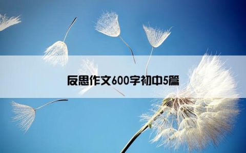 反思作文600字初中5篇