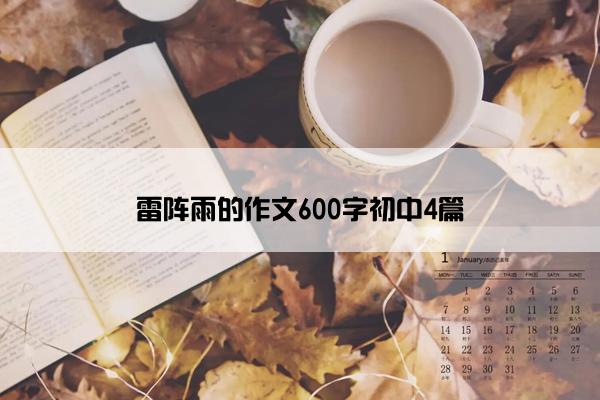 雷阵雨的作文600字初中4篇