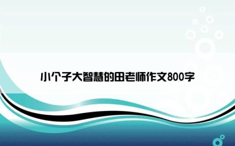 小个子大智慧的田老师作文800字