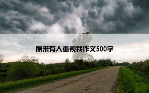 原来有人重视我作文500字