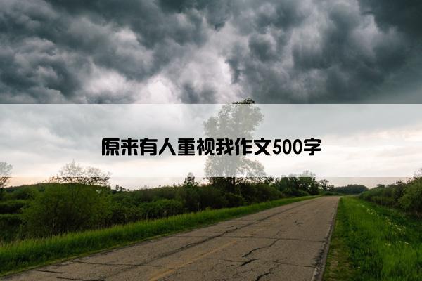 原来有人重视我作文500字