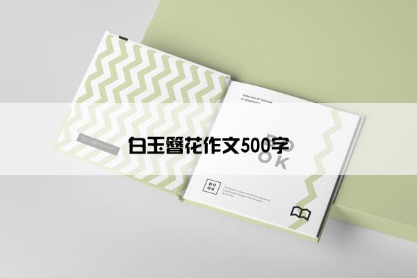 白玉簪花作文500字