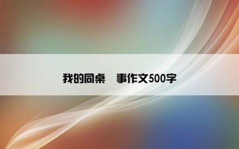 我的同桌囧事作文500字
