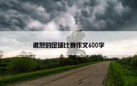 激烈的足球比赛作文600字