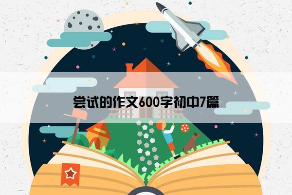 尝试的作文600字初中7篇