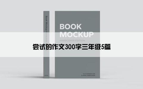 尝试的作文300字三年级5篇