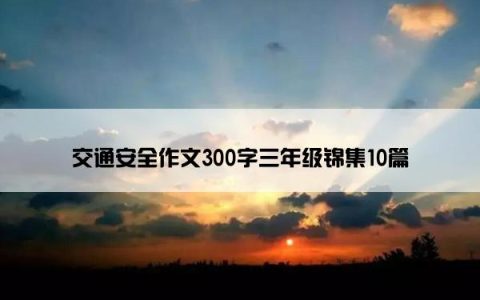 交通安全作文300字三年级锦集10篇