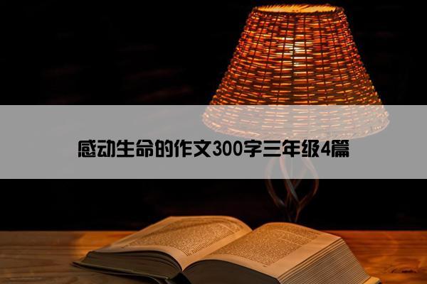 感动生命的作文300字三年级4篇