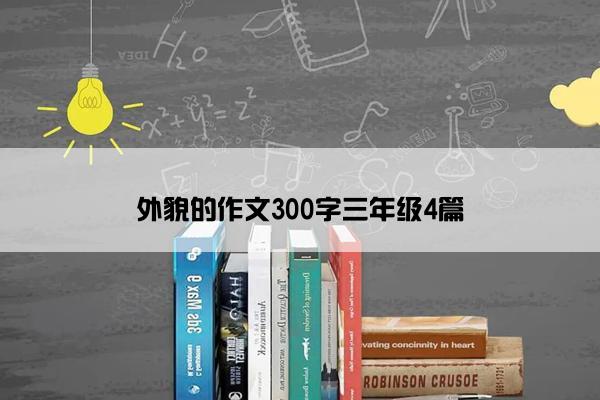 外貌的作文300字三年级4篇