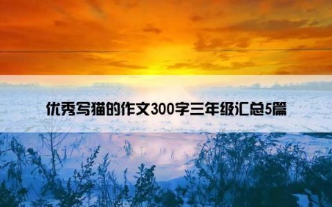 优秀写猫的作文300字三年级汇总5篇