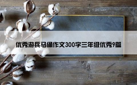 优秀游兵马俑作文300字三年级优秀9篇