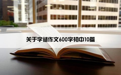 关于字谜作文600字初中10篇