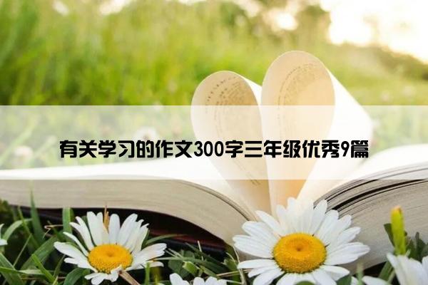 有关学习的作文300字三年级优秀9篇