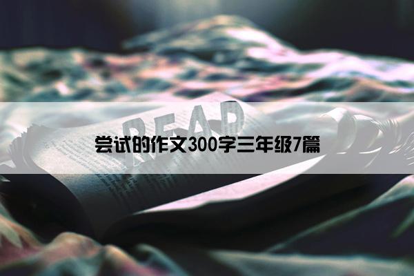 尝试的作文300字三年级7篇