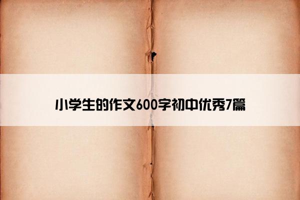 小学生的作文600字初中优秀7篇