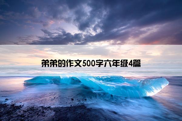 弟弟的作文500字六年级4篇